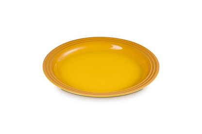 Stoneware Dinner Plate